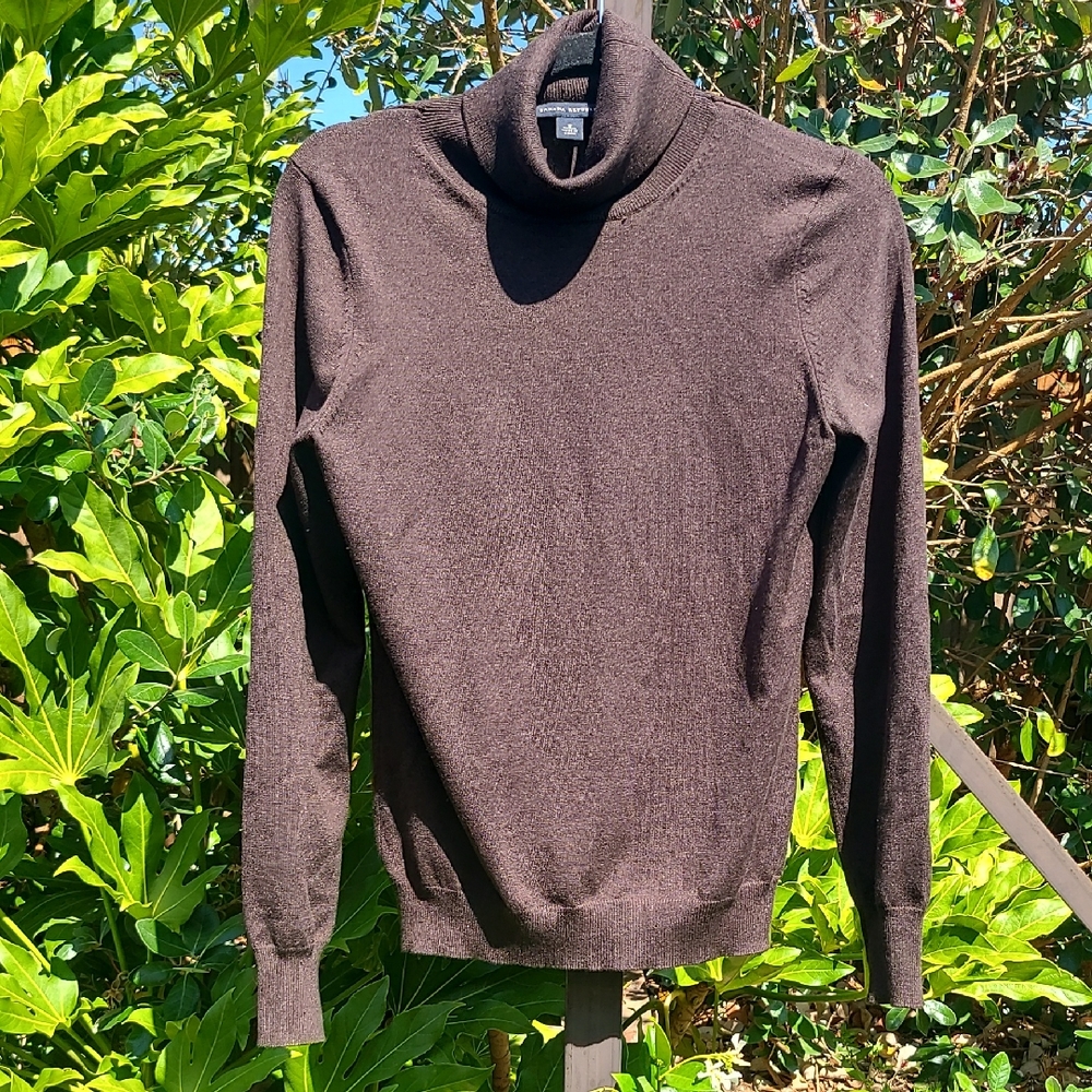 Banana Republic Brown Knit Turtleneck Sweater